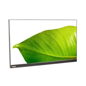 Lenovo ThinkVision P24h-20 23.8" QHD Monitor | IPS Panel | USB-C One-Cable Docking | 2560x1440 | 99% sRGB